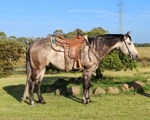 Excellence - Image 2